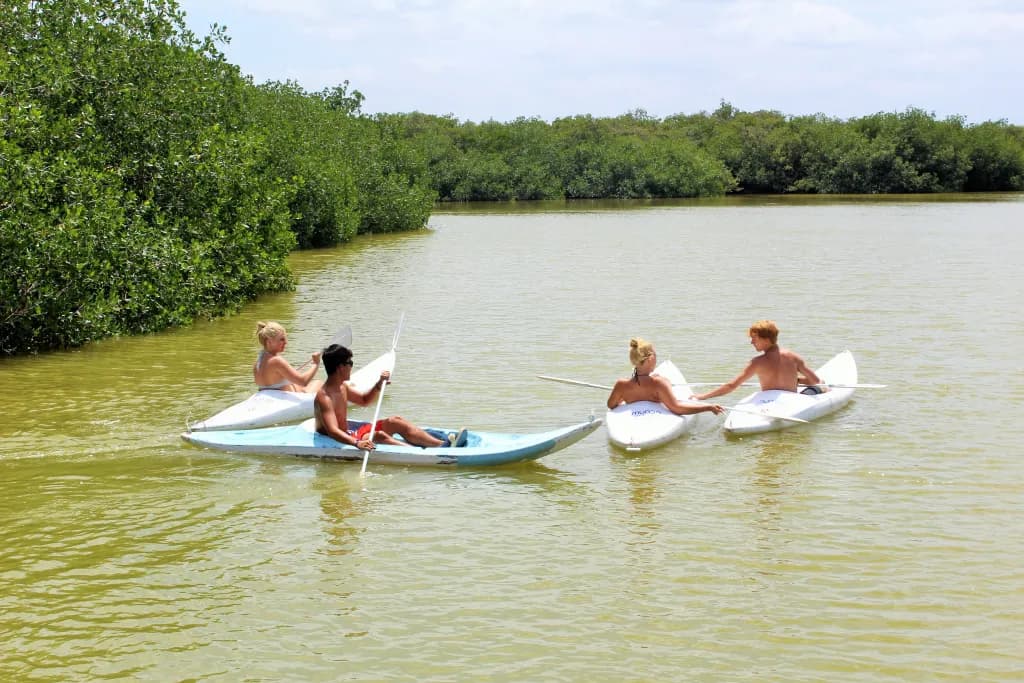La Ría Progreso, kayaks y paseos en lancha