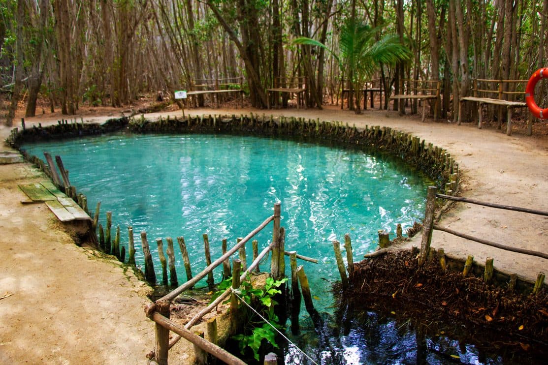 Reserva Ecológica El Corchito, Progreso
